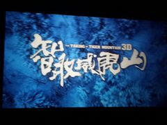 VIP厅屏幕-武汉华夏国际影城(鲁广店)