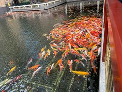 -番禺宾馆丽苑厅