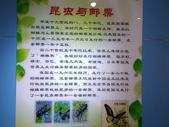 -上海昆虫博物馆