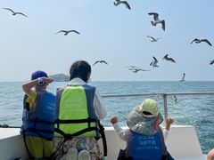 -养马岛旅游度假区
