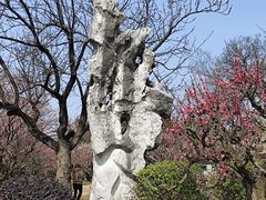 -无锡梅园公园