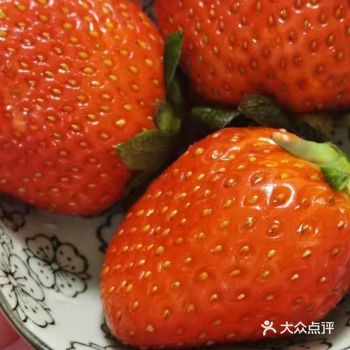 红红的草莓 草莓喜温凉气候,开花结果期4-40℃