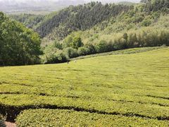 -敬亭山风景名胜区
