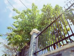 -冯排骨涮烤火锅(华商国际城店)