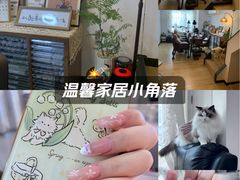 -西涌国际滨海旅游区