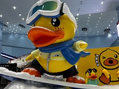 -广州融创水世界