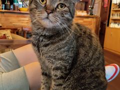 -云端咖啡私房店(河松街店)