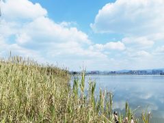 -星巴克(成都科学城店)