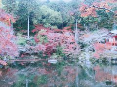 -醍醐寺