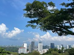 -花柏山公园