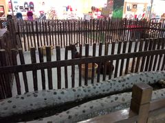 -开元商城(西旺店)