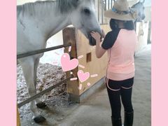 -松声马术俱乐部