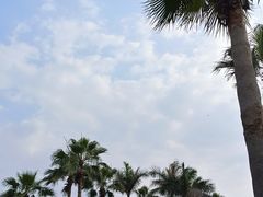 -椰风寨
