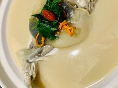 东坡河豚-肆月河豚·新淮扬(金融街店)