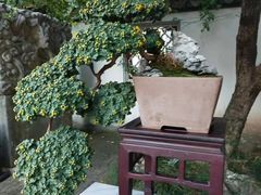 -无锡惠山寺