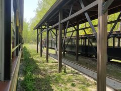 -合肥滨湖国家森林公园