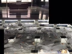 -青岛贝壳博物馆