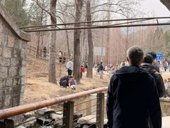-白水寺森林公园