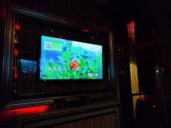 -纯歌派对量贩式KTV(四季城店)