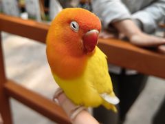 -北京野生动物园