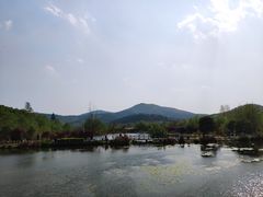 -石塘人家