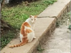 -哈尔滨师范大学(江南校区)