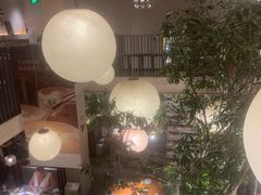 -馋嘴猫北京食堂·烤鸭·宵夜(亚运村店)