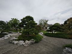 -上海滨江森林公园