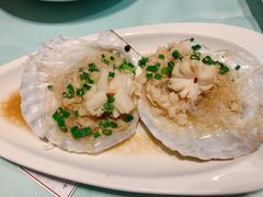 -高佳庄·舟山海鲜(海景旗舰店)