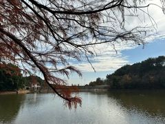 -青龙山国家森林公园