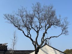 -苏州上方山国家森林公园