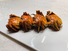-桃花源中餐厅(金茂豪华精选酒店)