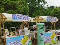 -嘉定紫藤园