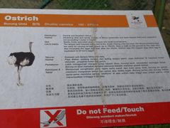 -吉隆坡雀鸟公园