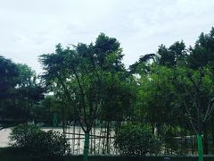 -莲湖公园
