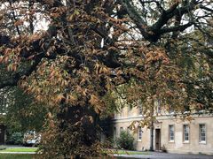 -牛津大学贝利奥尔学院