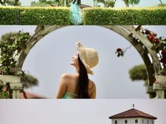 -空港花田景区