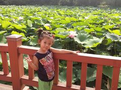 -二一九公园