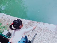 -大宁郁金香公园-停车场