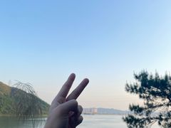 -羚羊峡古栈道森林公园