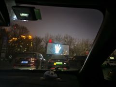 -枫花园汽车电影院(朝阳公园店)