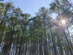 -萨尔浒风景区