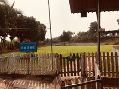 -良成狗狗乐园