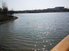 -东郊湿地公园