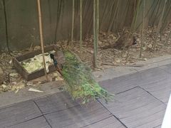 -春记潮汕牛肉火锅