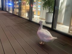 -沈阳铁西万象汇