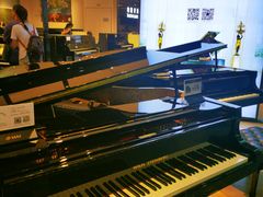 -柏斯音乐艺术中心·钢琴·吉他(世纪金源店)
