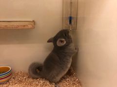 -龙猫仔乐园(惠福东路店)