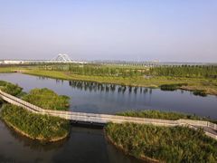 -春花秋色城市公园