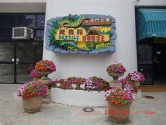 -屯门公园